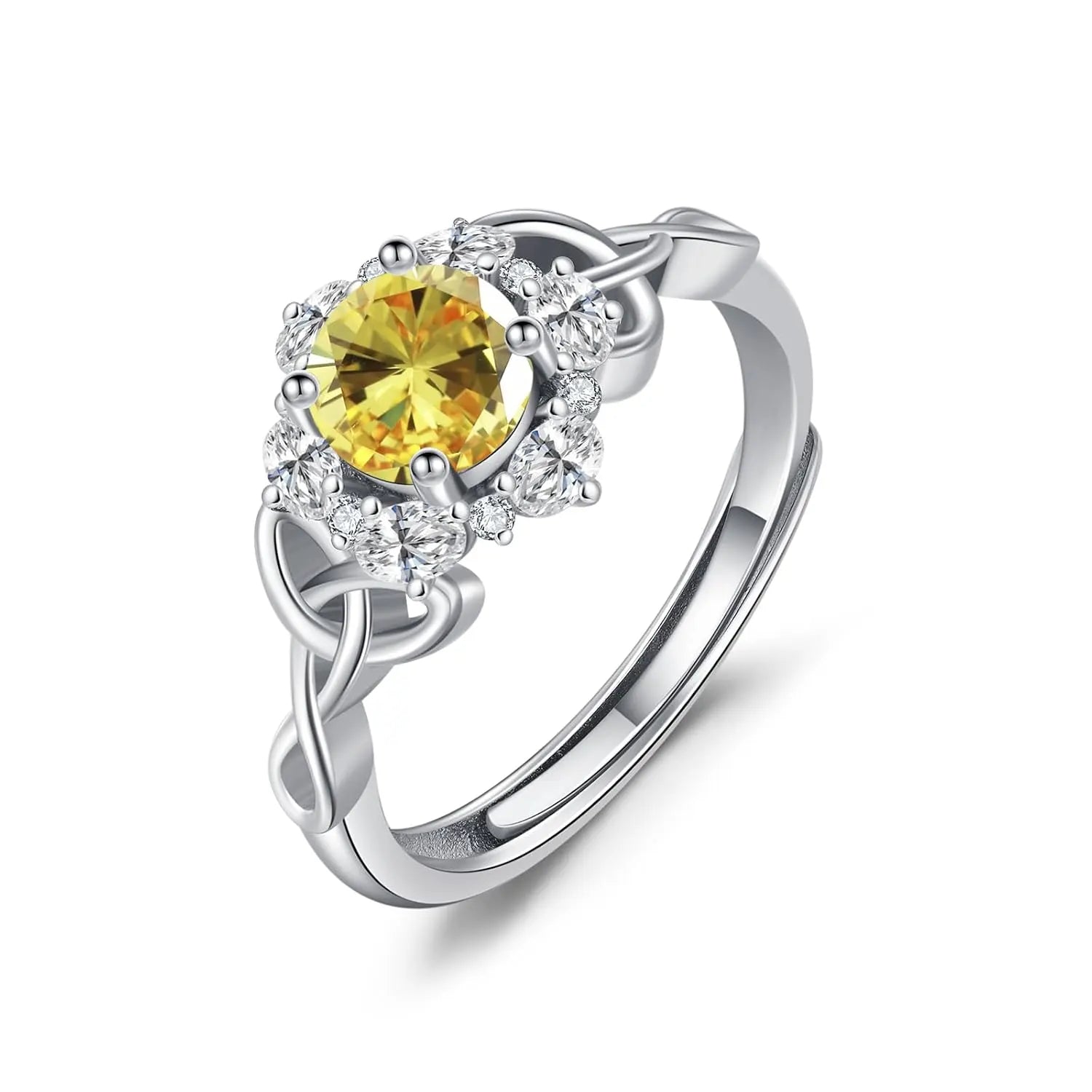 The Celtic Lineage Band